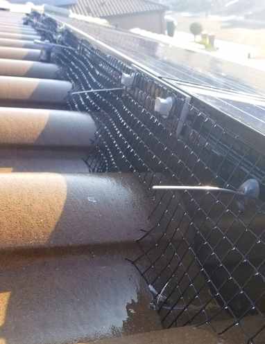 solar panel bird proofing fresno ca