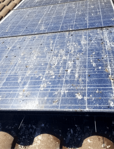 solar panel bird proofing fresno ca clovis